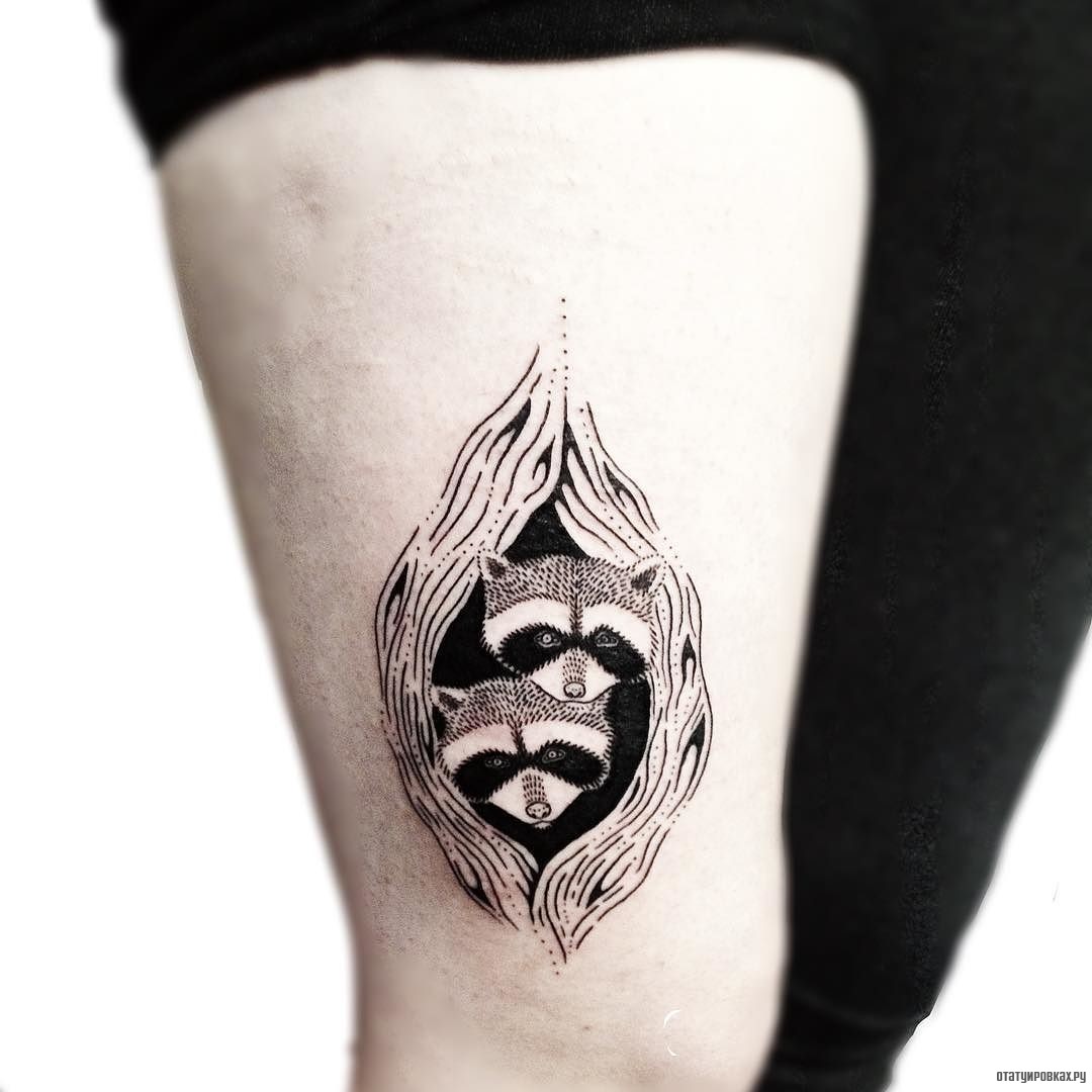 Фотография татуировки под названием «Две морды енота»