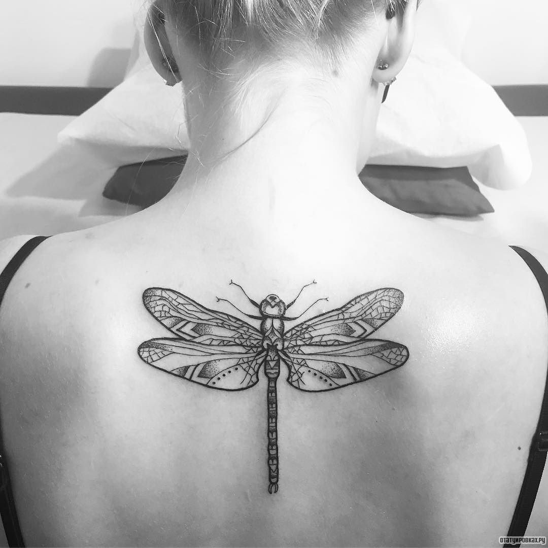 Фотография татуировки под названием «Стрекоза чб»