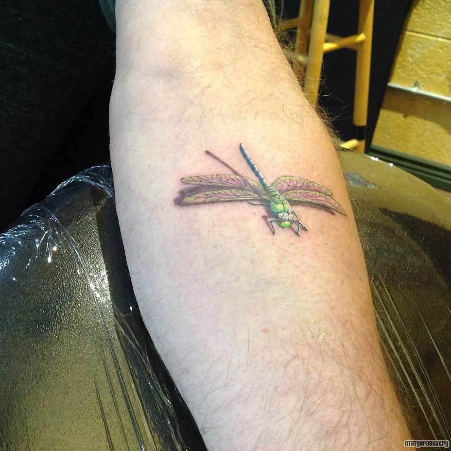 Фотография татуировки под названием «Зеленая стрекоза с тенью»