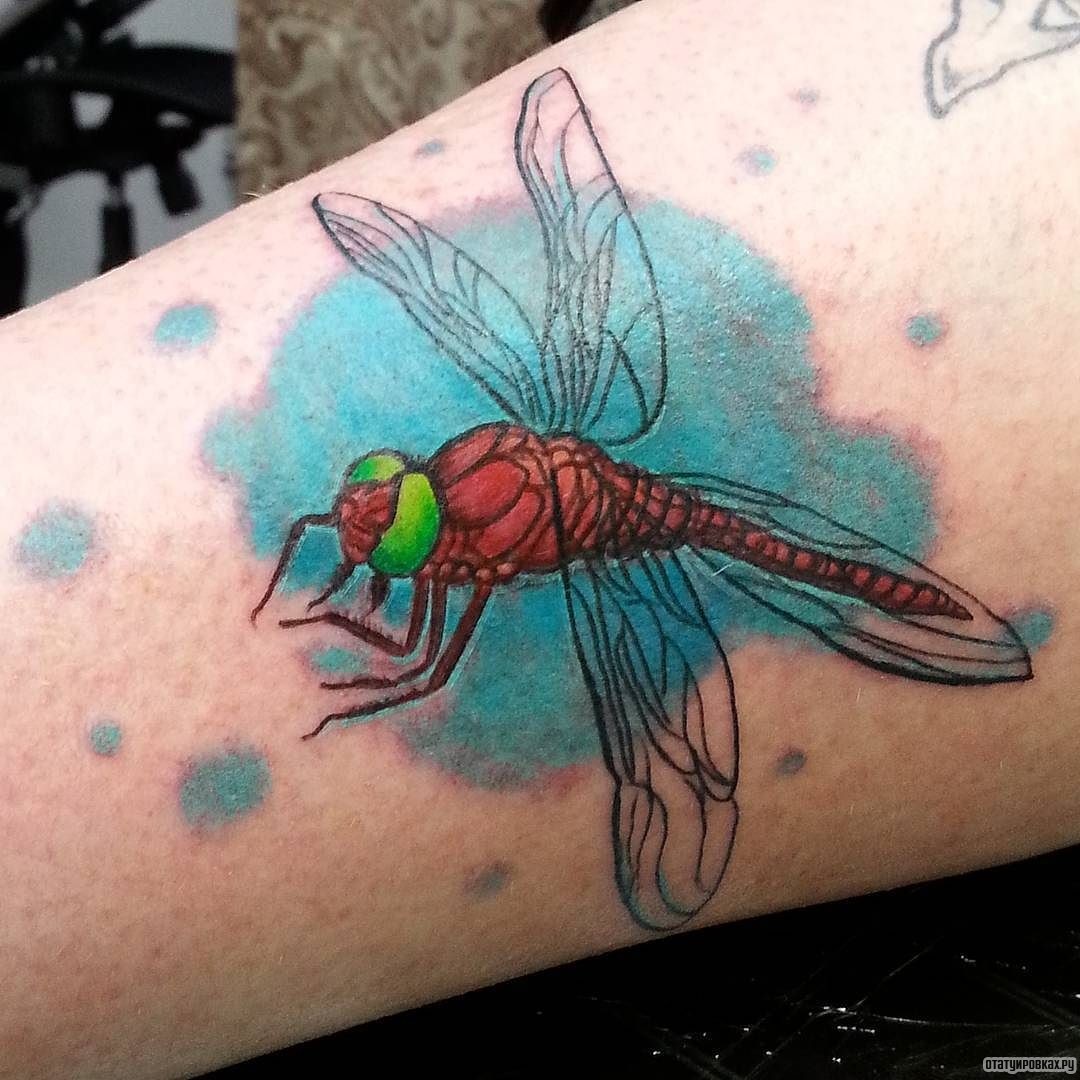 Фотография татуировки под названием «Стрекоза на голубом фоне»