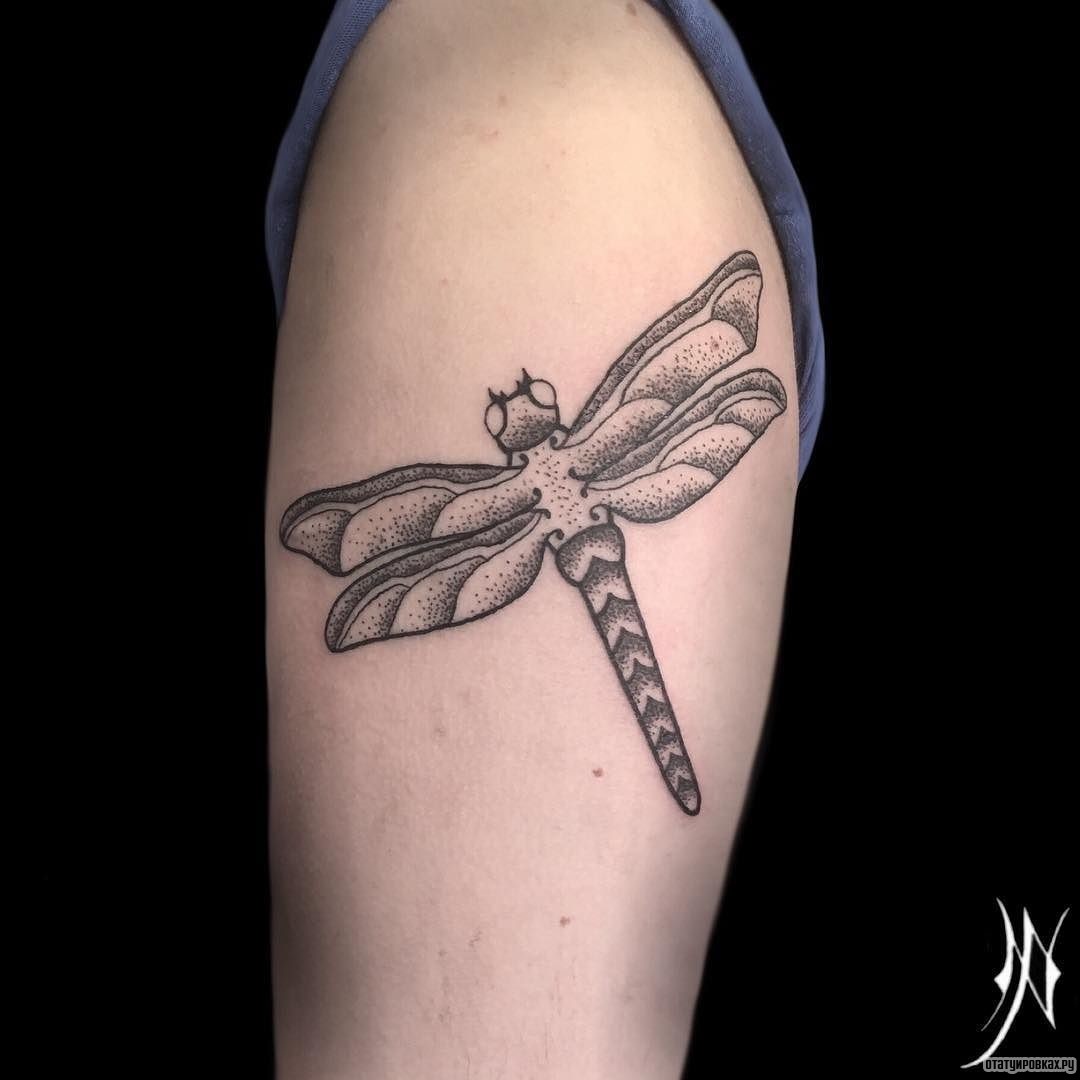 Фотография татуировки под названием «Стрекоза из точек»