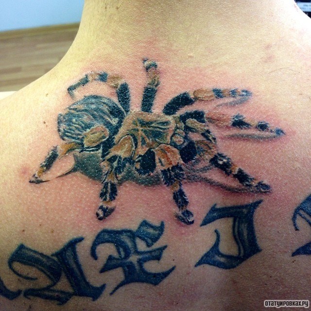 Фотография татуировки под названием «Паук»