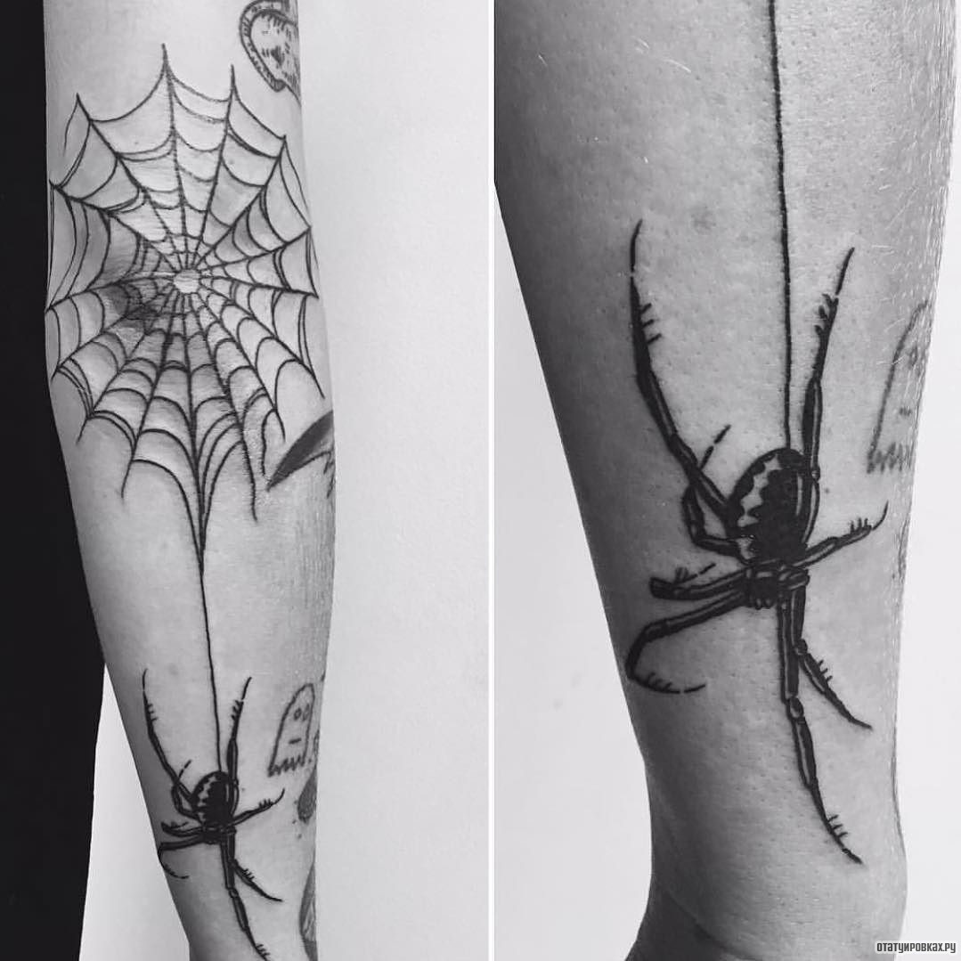 Эскиз паука с паутиной на предплечье тату