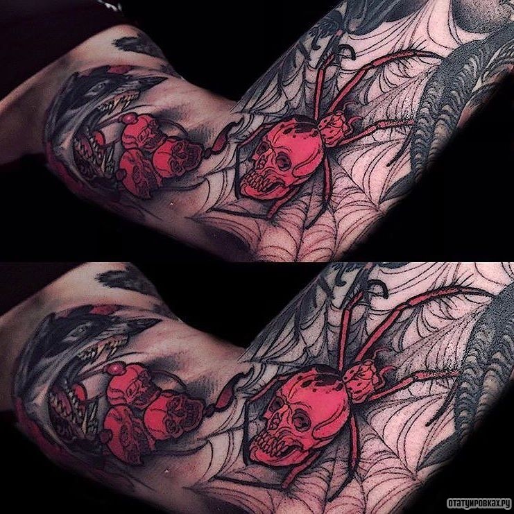 Фотография татуировки под названием «Паутина, паук с черепом»