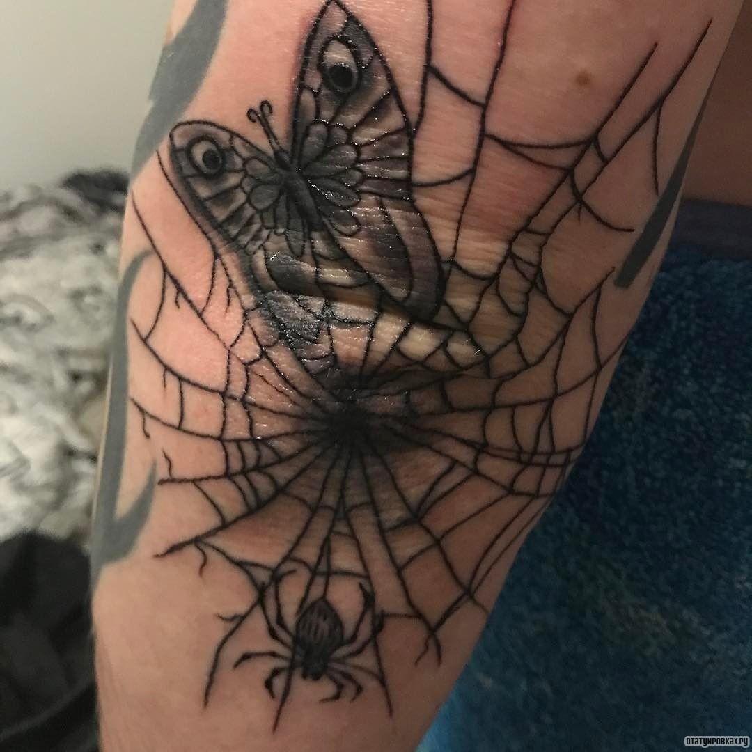 Фотография татуировки под названием «Паутина с пауком и бабочкой»