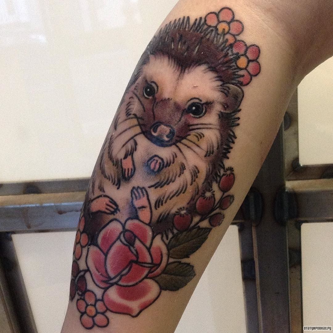 Фотография татуировки под названием «Еж, роза и ягоды»