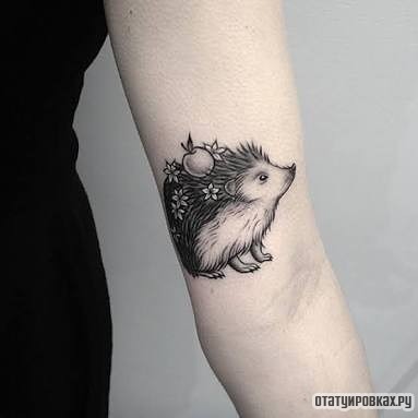 Фотография татуировки под названием «Еж с яблоком и цветами»