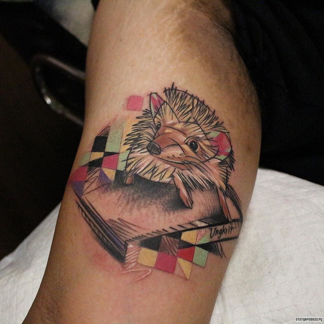 Фотография татуировки под названием «Еж на кассете»