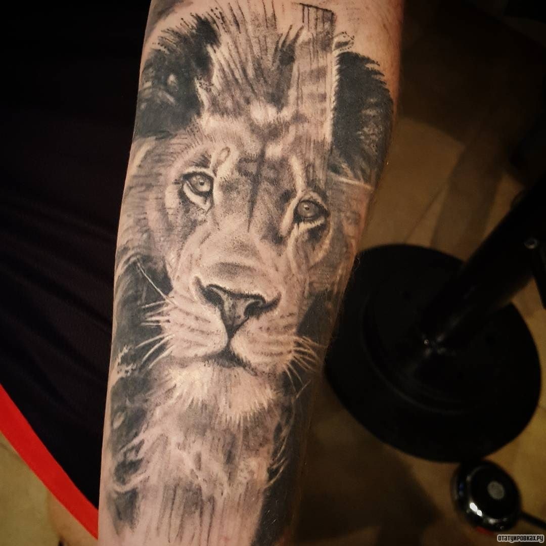 Фотография татуировки под названием «Лев в кресте»