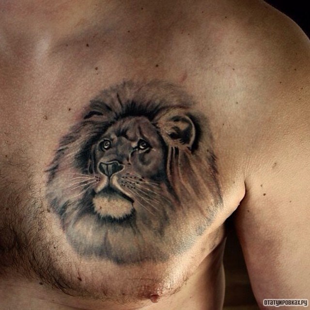 Фотография татуировки под названием «Лев с гривой»