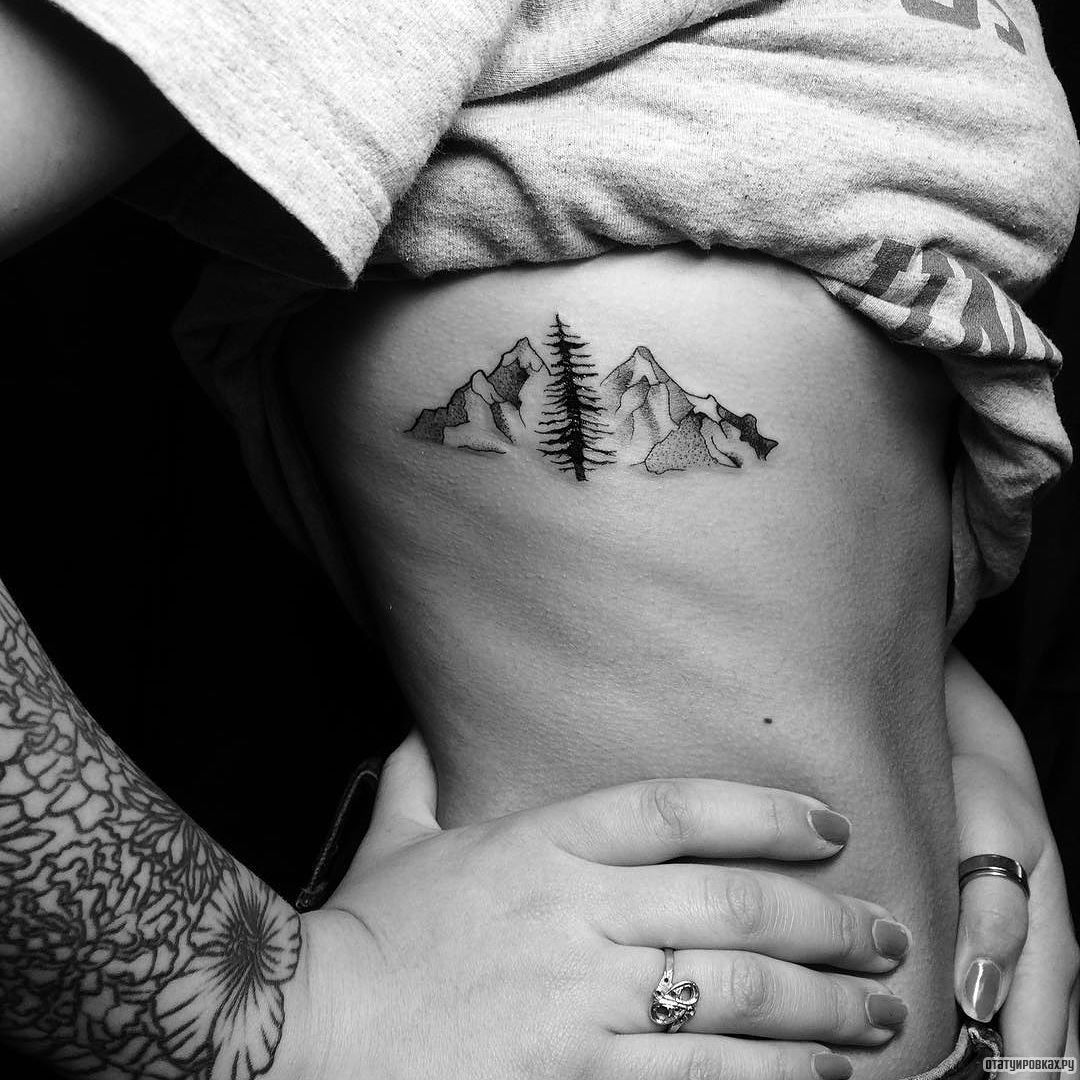 Фотография татуировки под названием «Горы и елка»