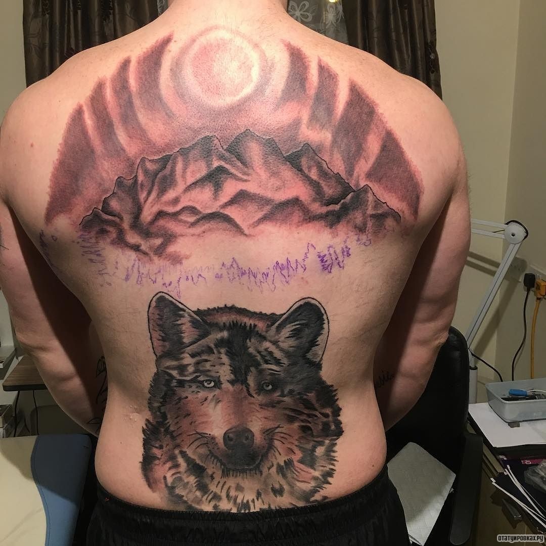 Фотография татуировки под названием «Горы и волк»