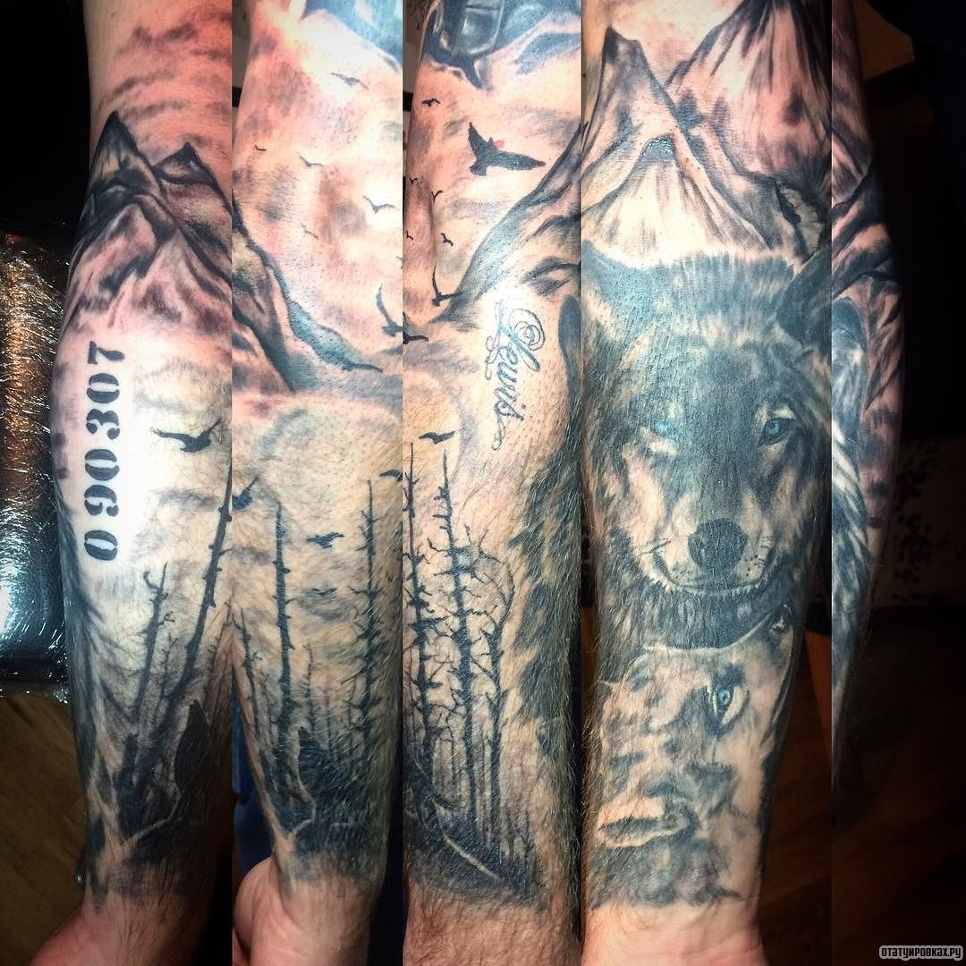 Фотография татуировки под названием «Горы с волком, елками и птицами»