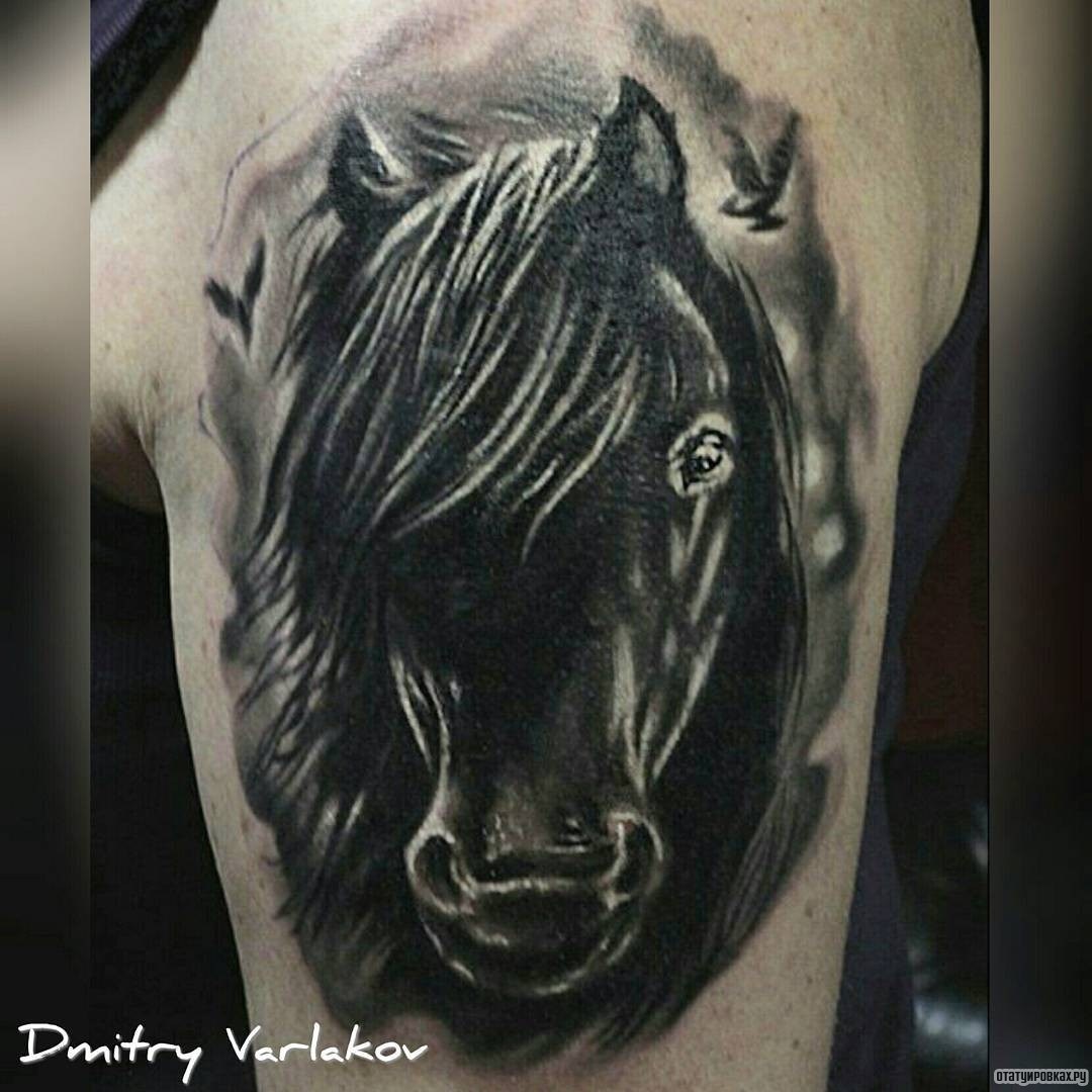 Фотография татуировки под названием «Голова лошади»