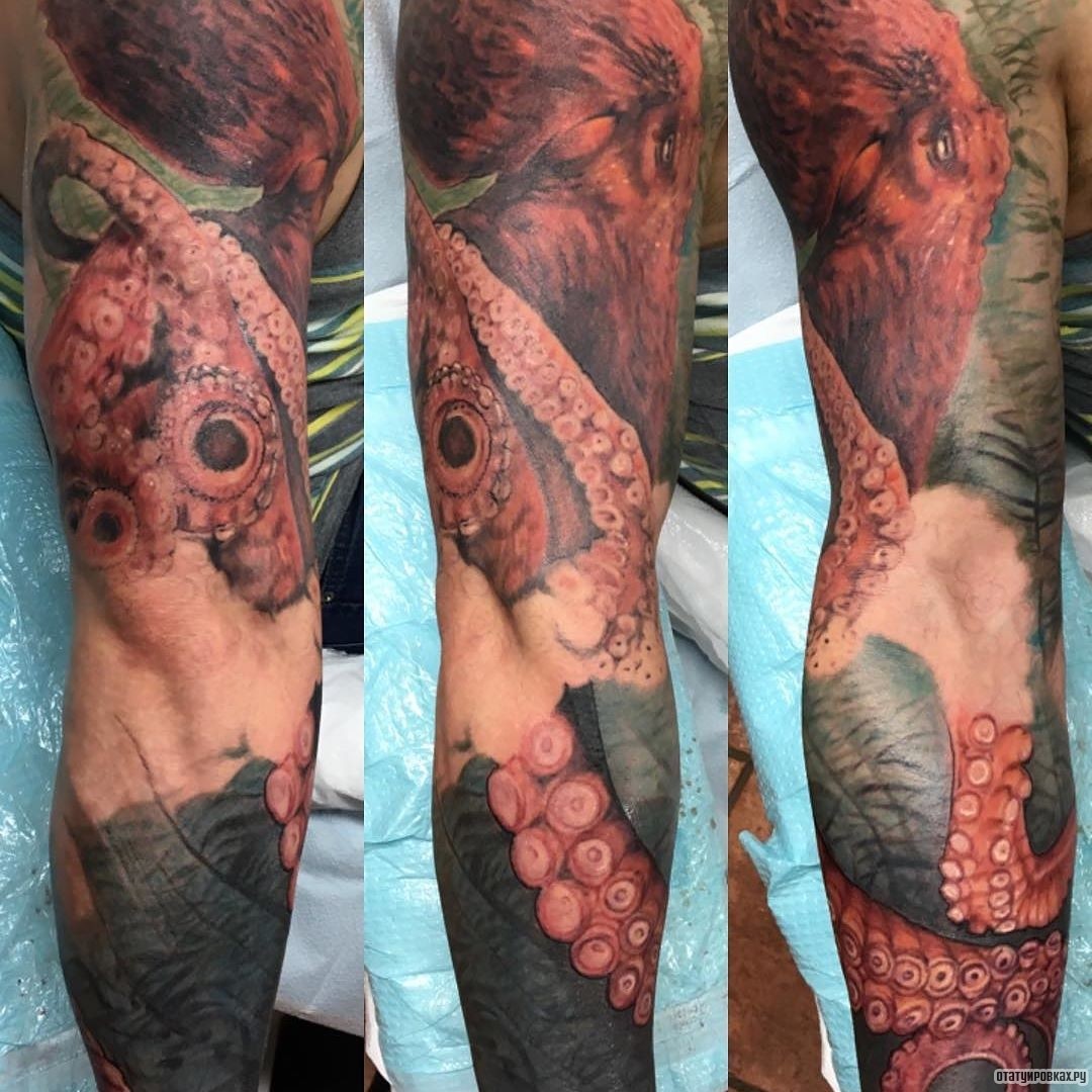 Фотография татуировки под названием «Огромный розовый осьминог»