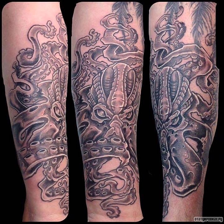 Фотография татуировки под названием «Осьминог чб»