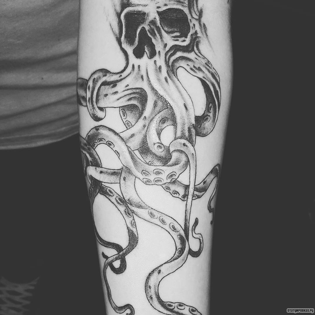 Фотография татуировки под названием «Осьминог - череп»