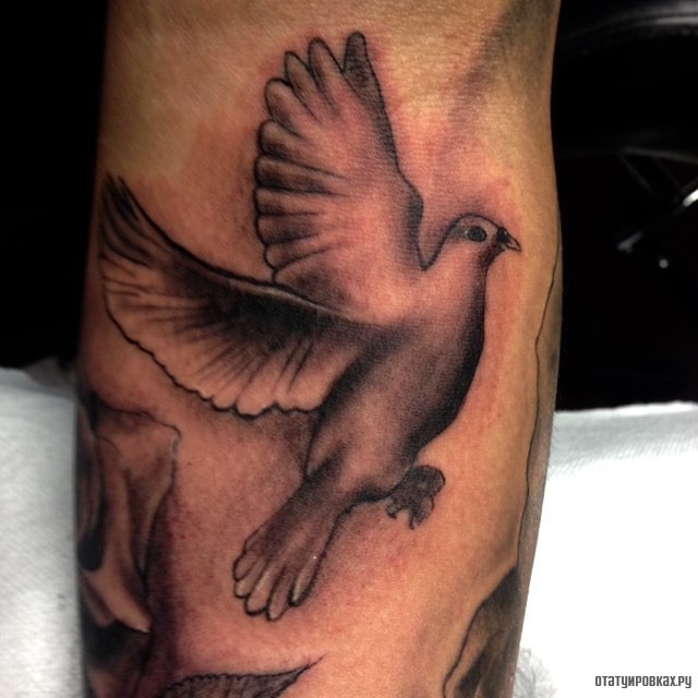 Фотография татуировки под названием «Голубь с размахом крыльев»
