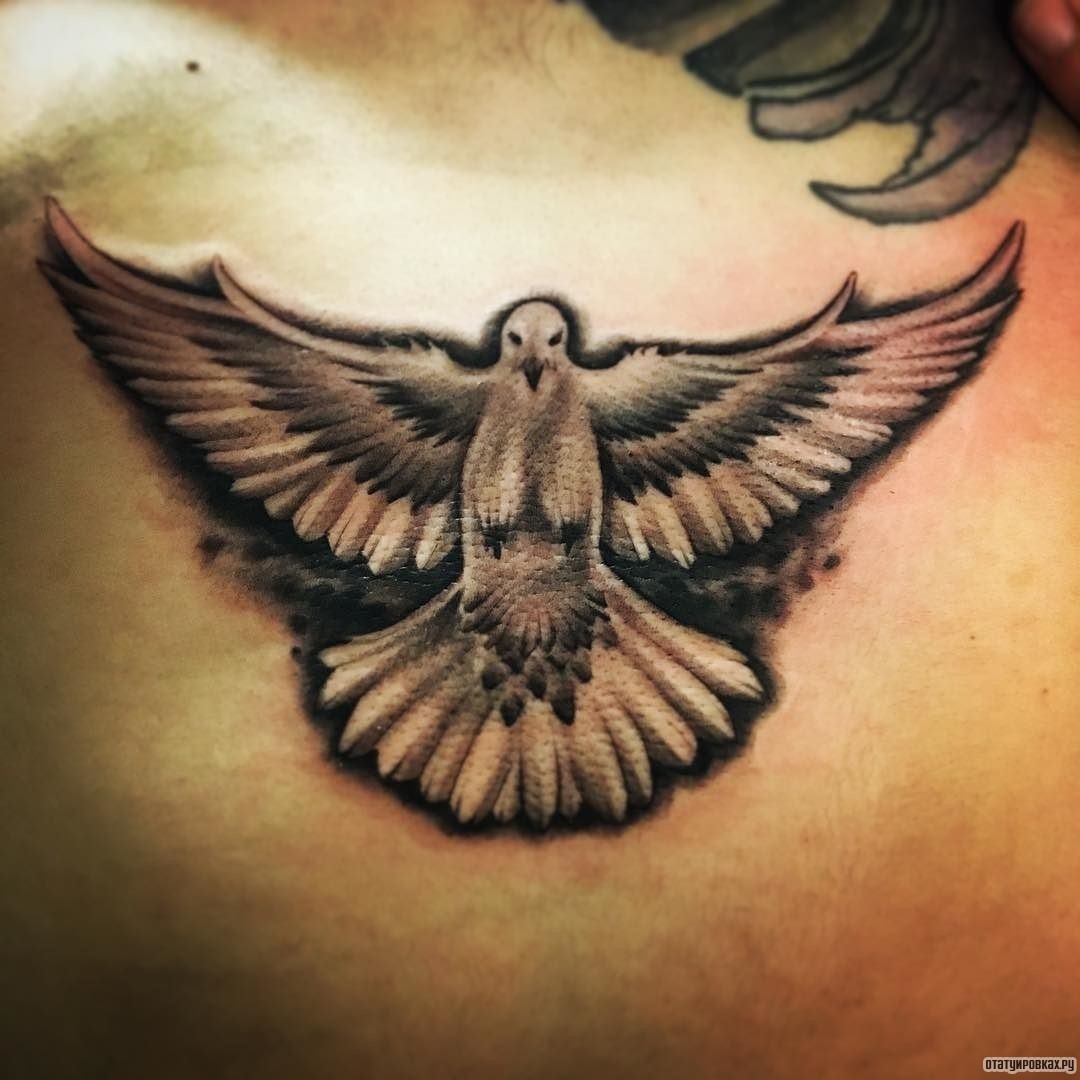 Фотография татуировки под названием «Голубь расправив крылья»