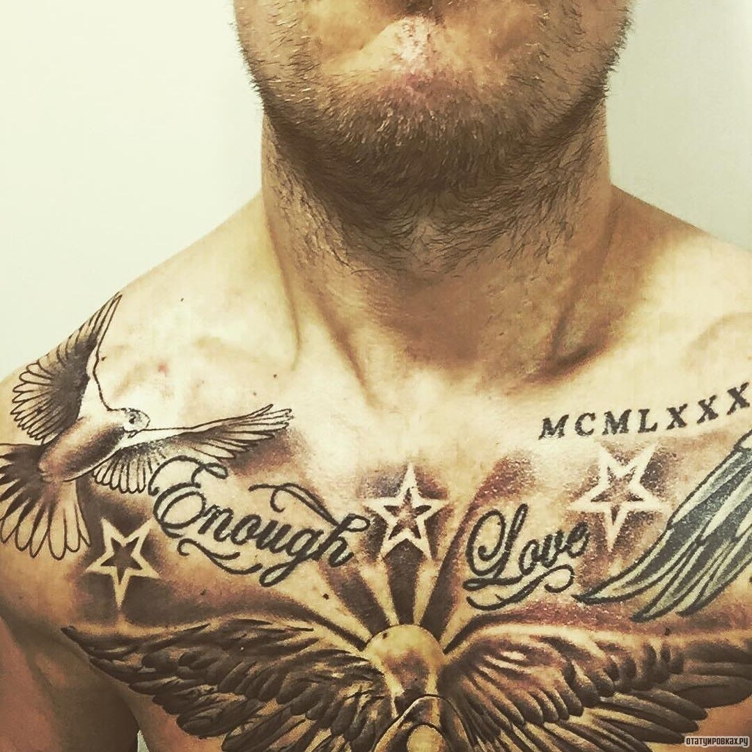 Фотография татуировки под названием «Голубь со звездами»