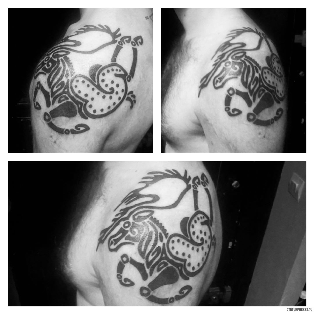 Фотография татуировки под названием «Скифский узор - животное»