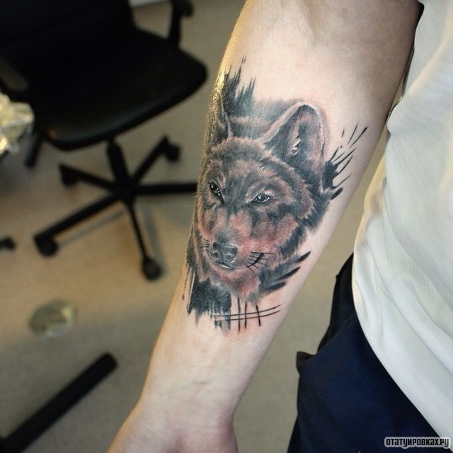 Фотография татуировки под названием «Волк с пронзительным взглядом»