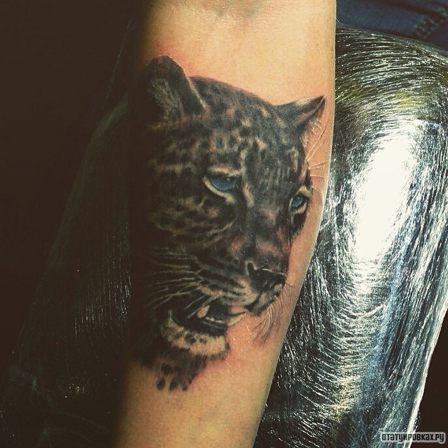 Фотография татуировки под названием «Морда леопарда с голубыми глазами»