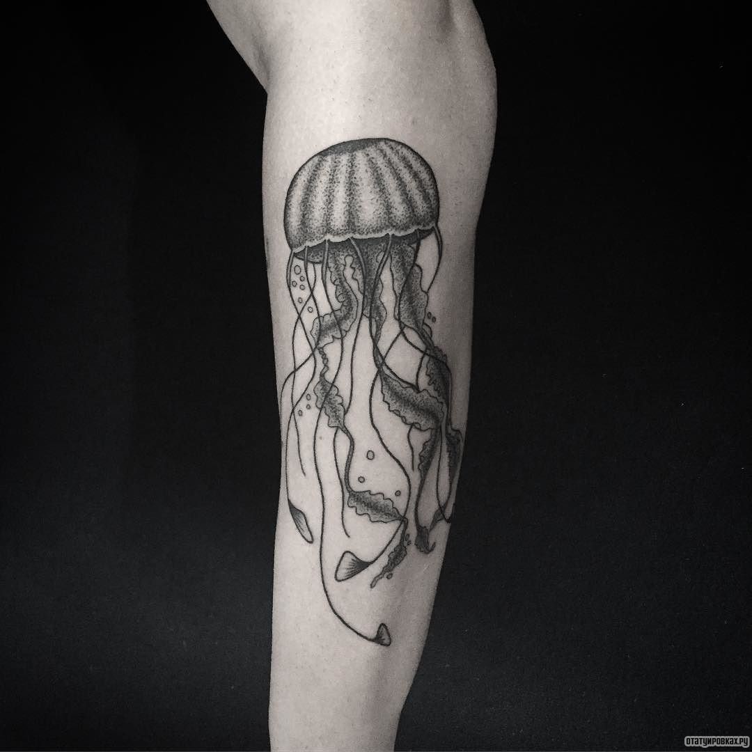 Фотография татуировки под названием «Медуза чб»