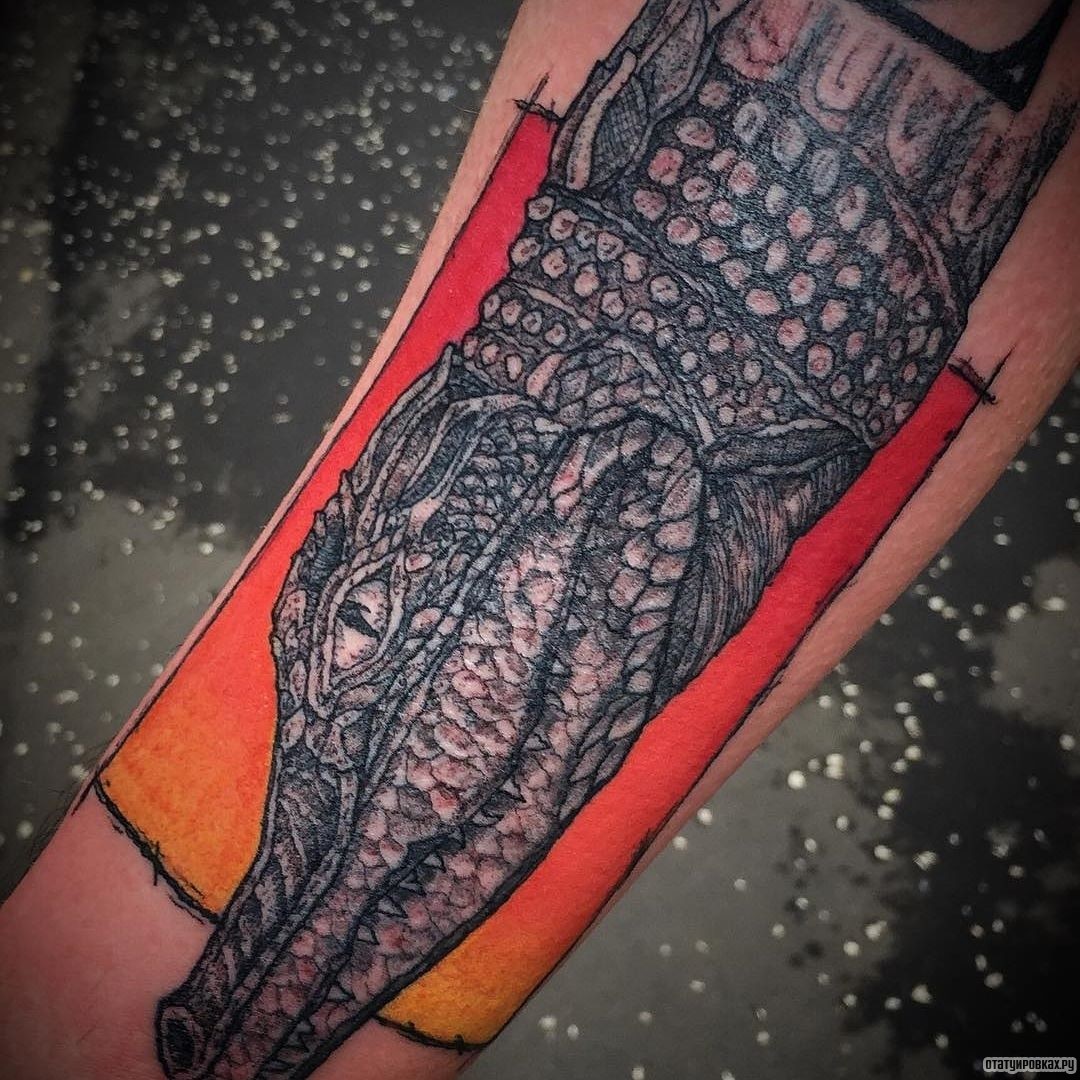 Фотография татуировки под названием «Передняя часть крокодила»