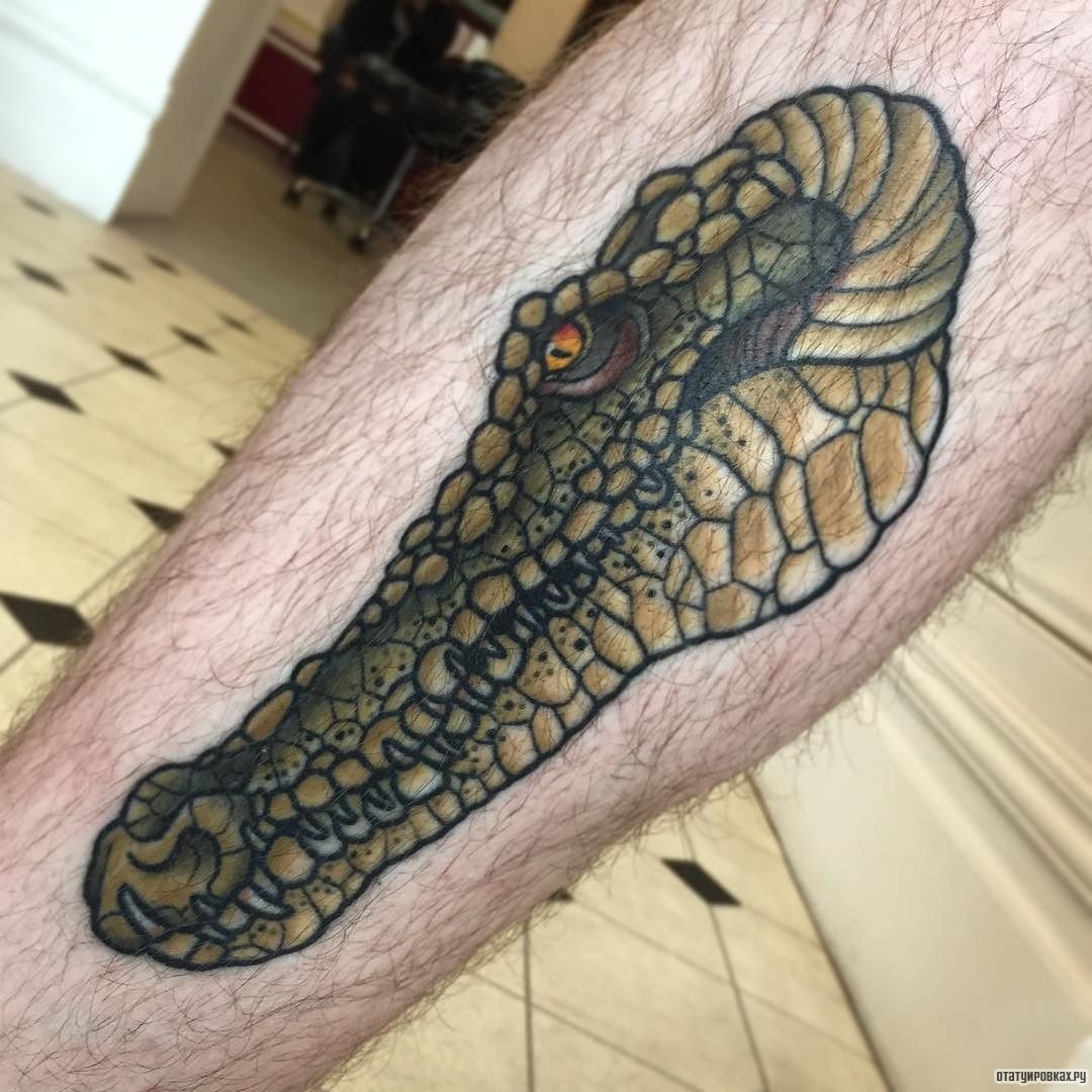 Фотография татуировки под названием «Зеленая морда крокодила»