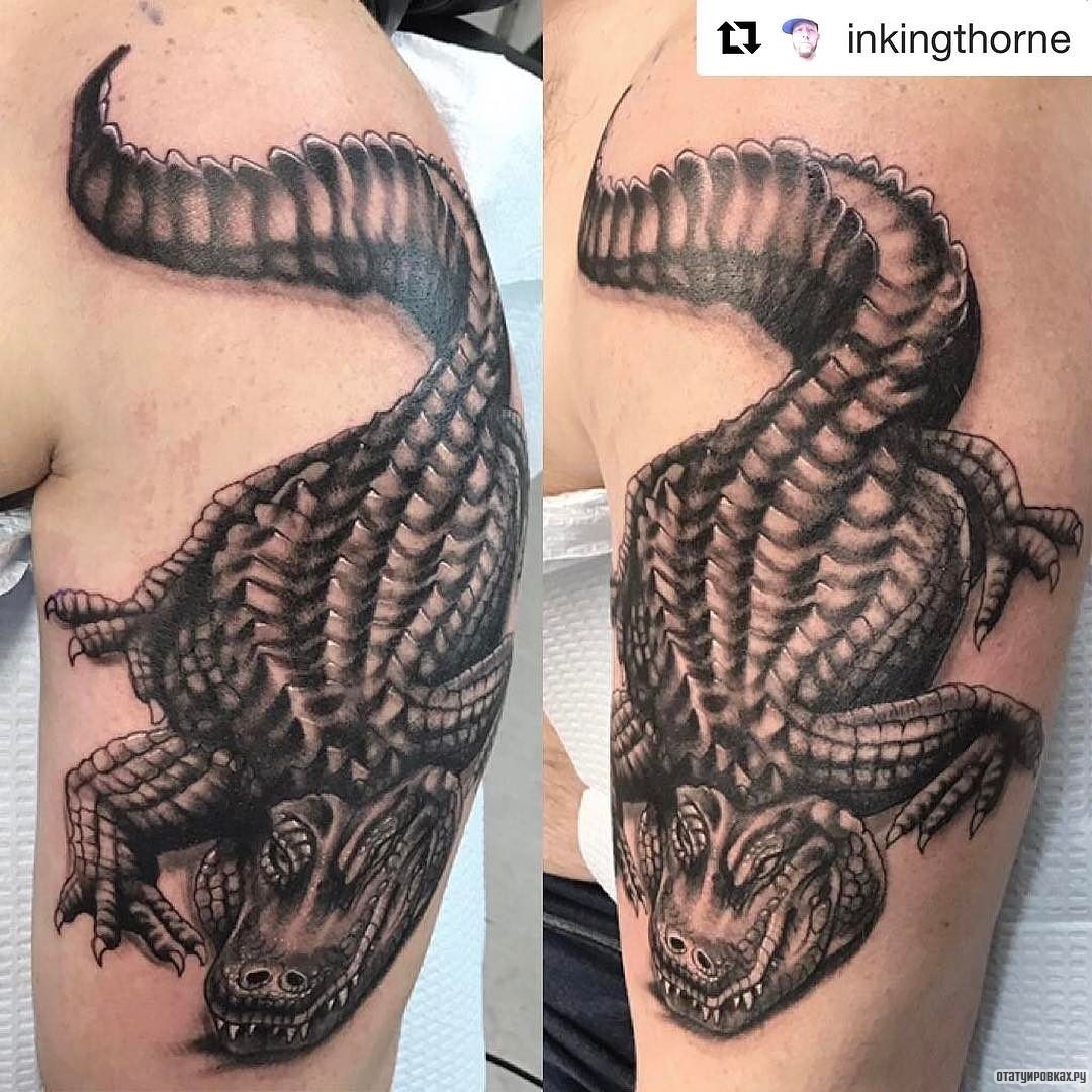 Фотография татуировки под названием «Крокодил чб»
