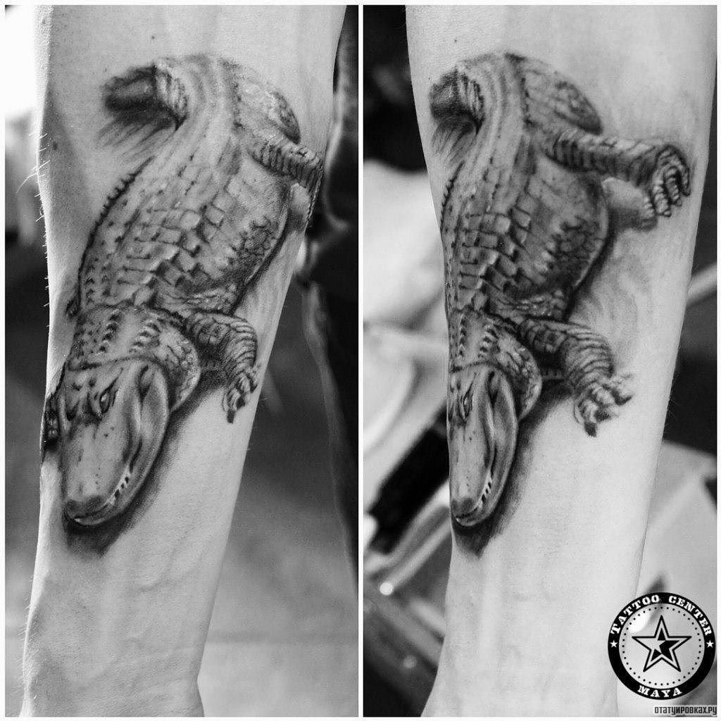 Фотография татуировки под названием «Крокодил»