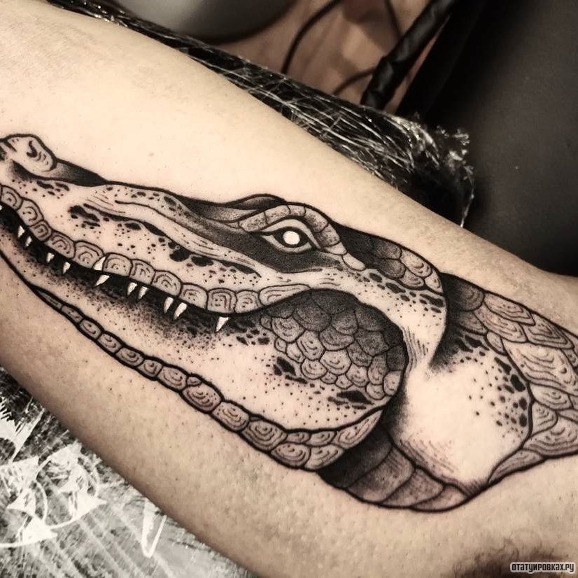 Фотография татуировки под названием «Спокойный крокодил»