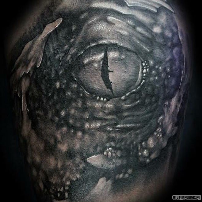 Фотография татуировки под названием «Чб глаз крокодила»