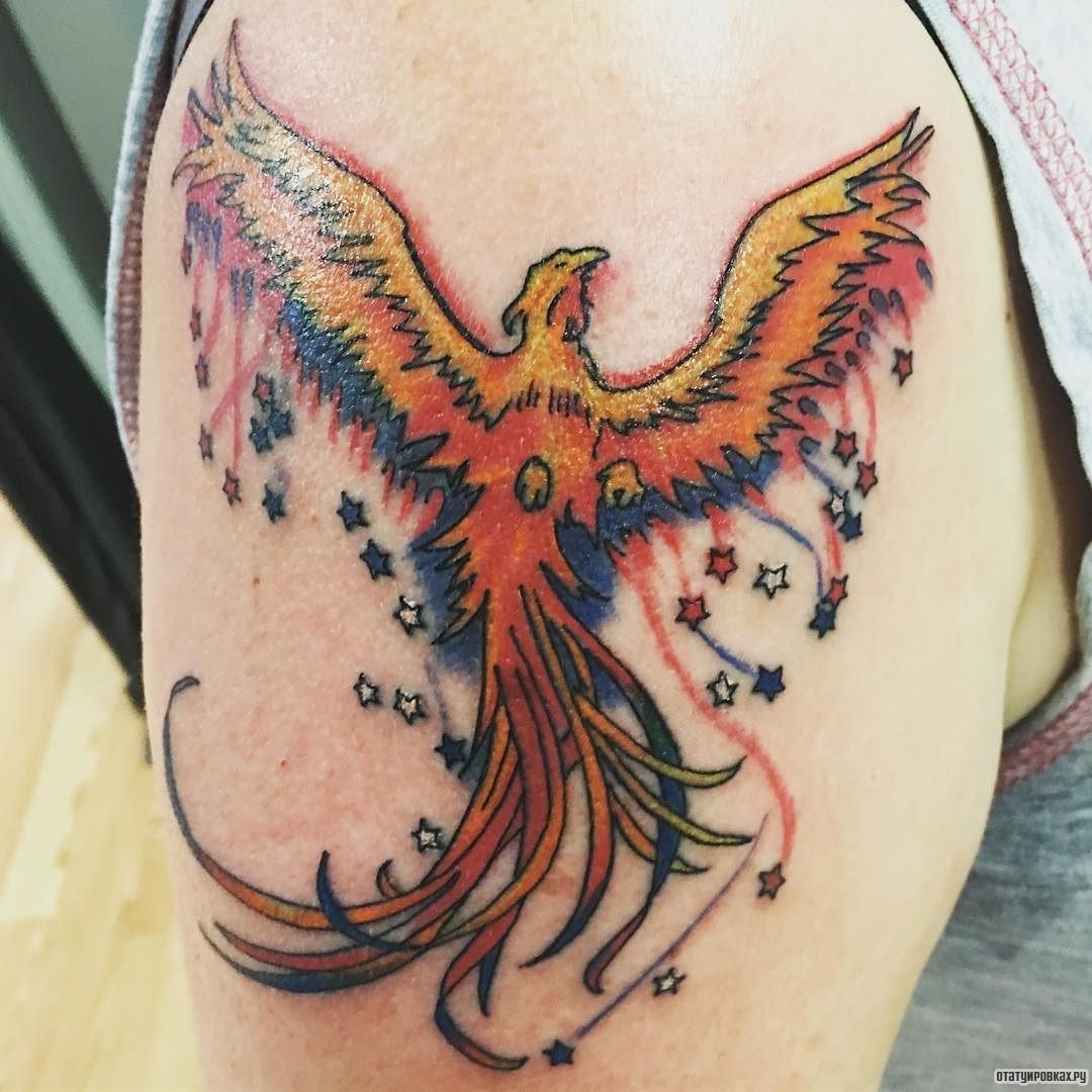 Фотография татуировки под названием «Жар птица со звездочками»
