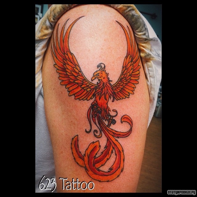 Фотография татуировки под названием «Жар птица во всей своей красе»