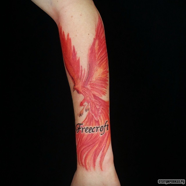 Фотография татуировки под названием «Жар птица с надписью»