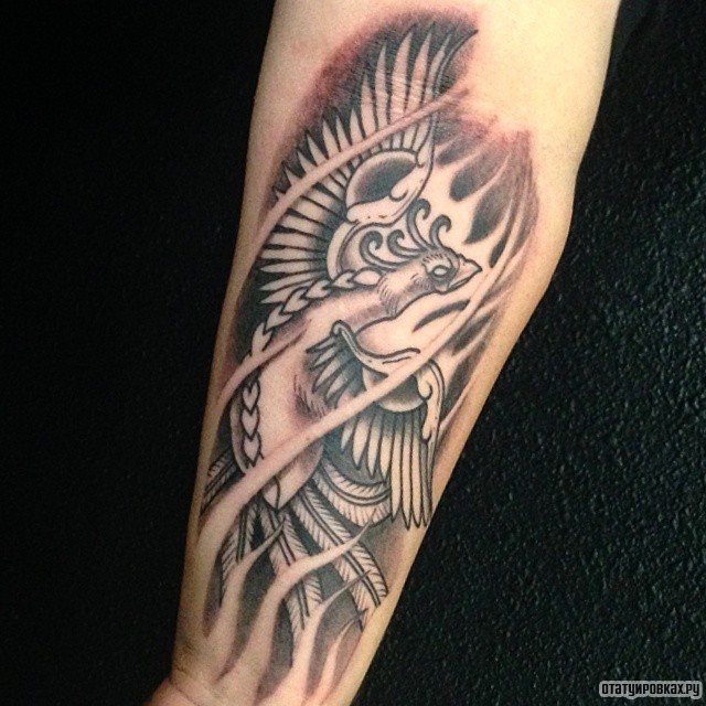 Фотография татуировки под названием «Жар птица чб»