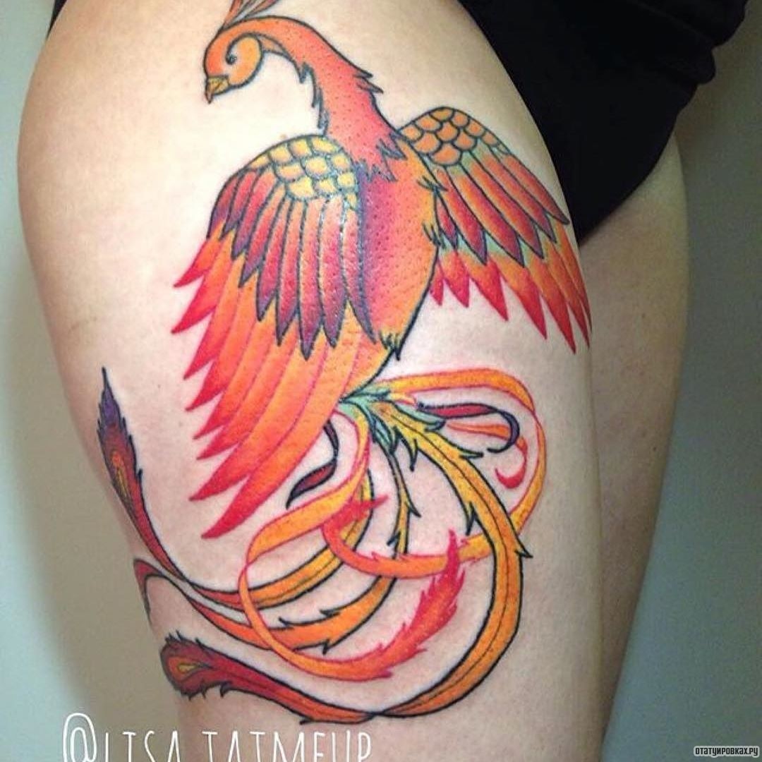 Фотография татуировки под названием «Жар птица - еще один вариант исполнения»