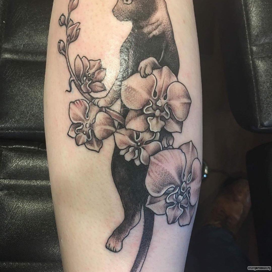 Фотография татуировки под названием «Орхидея с котом»