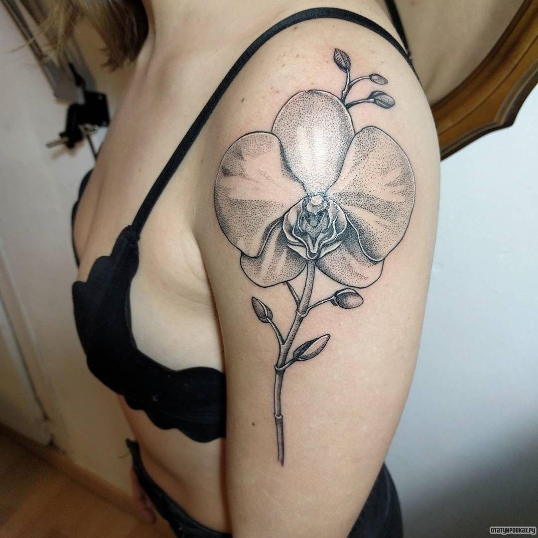 Фотография татуировки под названием «Орхидея чб»