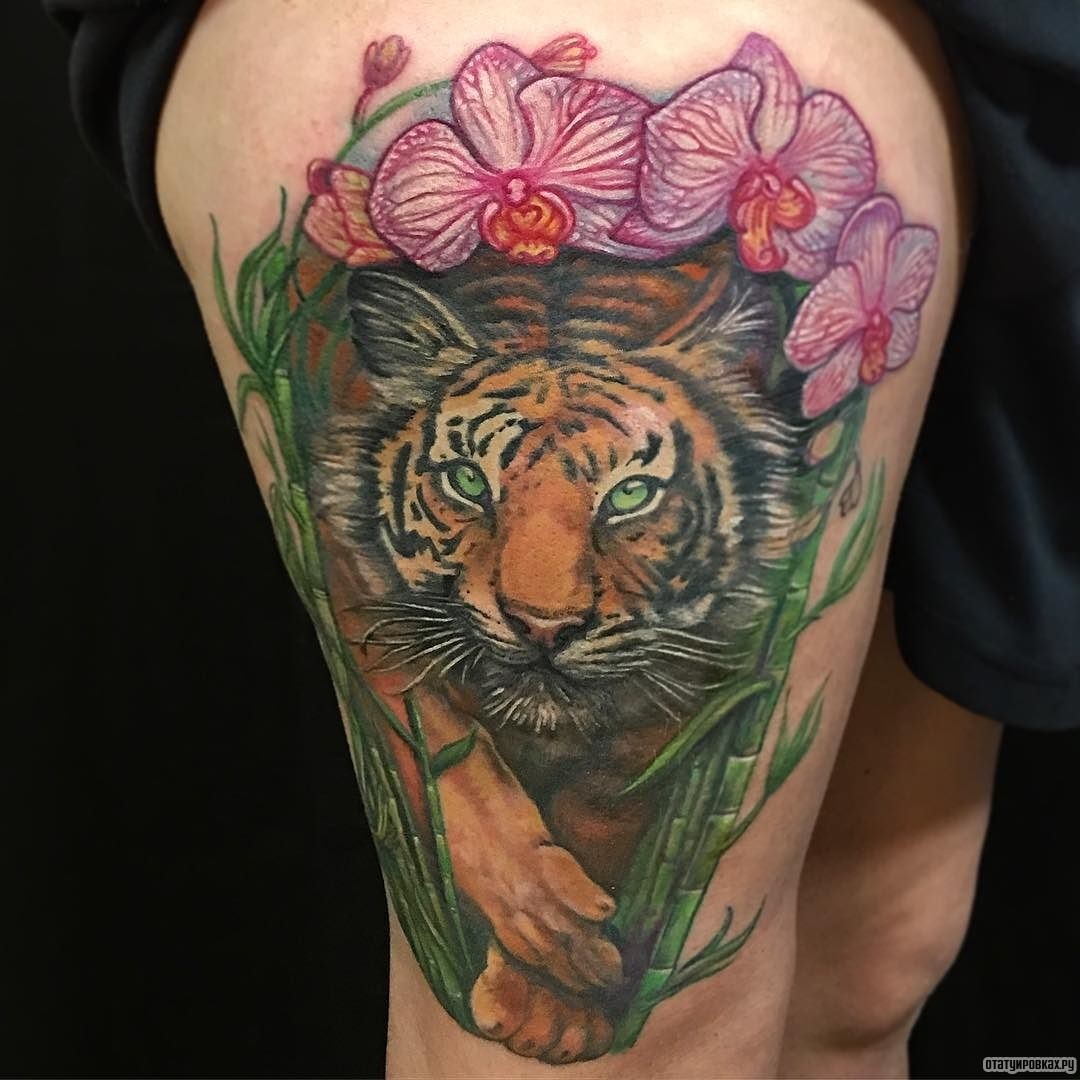 Фотография татуировки под названием «Орхидея со львом»