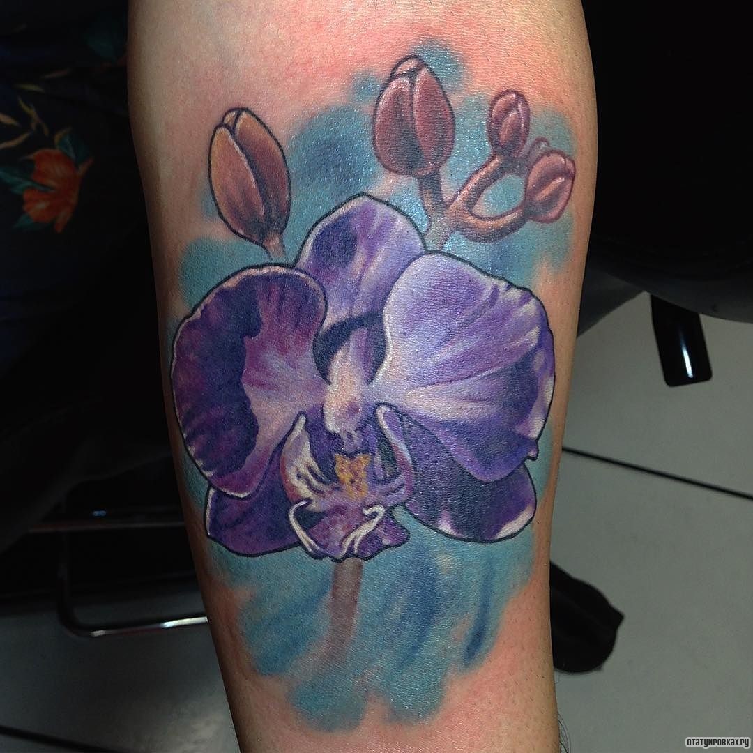 Фотография татуировки под названием «Сиреневая орхидея на голубом фоне»