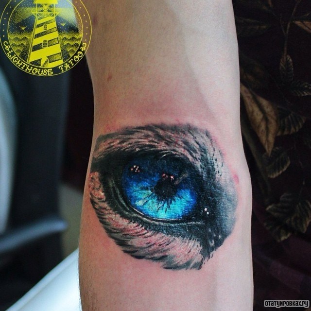 Фотография татуировки под названием «Голубой глаз животного»