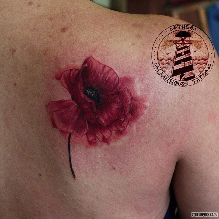 Фотография татуировки под названием «Небольшой цветок мака»