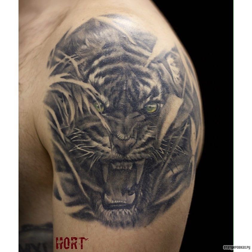 Фотография татуировки под названием «Оскал тигра под кожей»