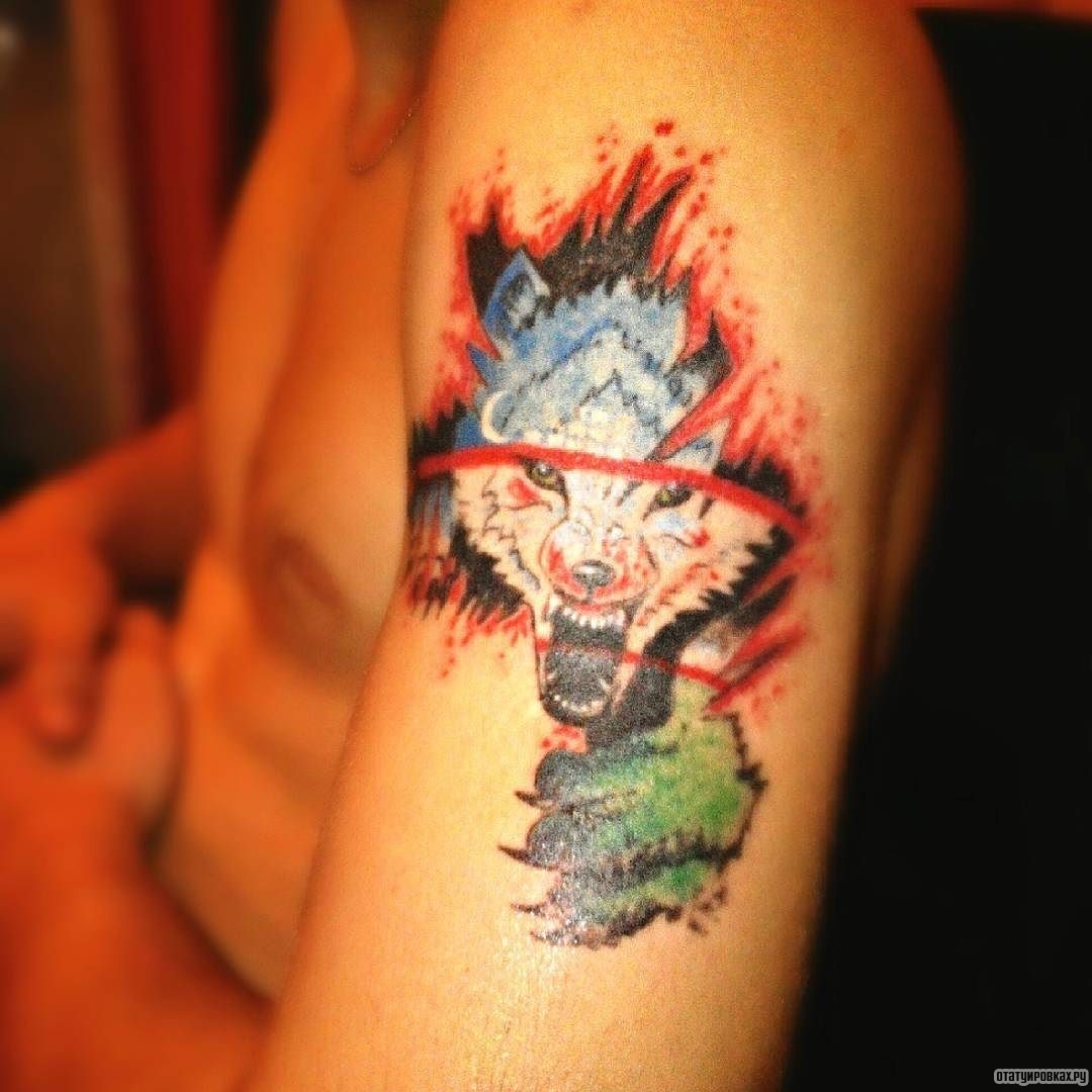 Фотография татуировки под названием «Оскал волка под кожей»