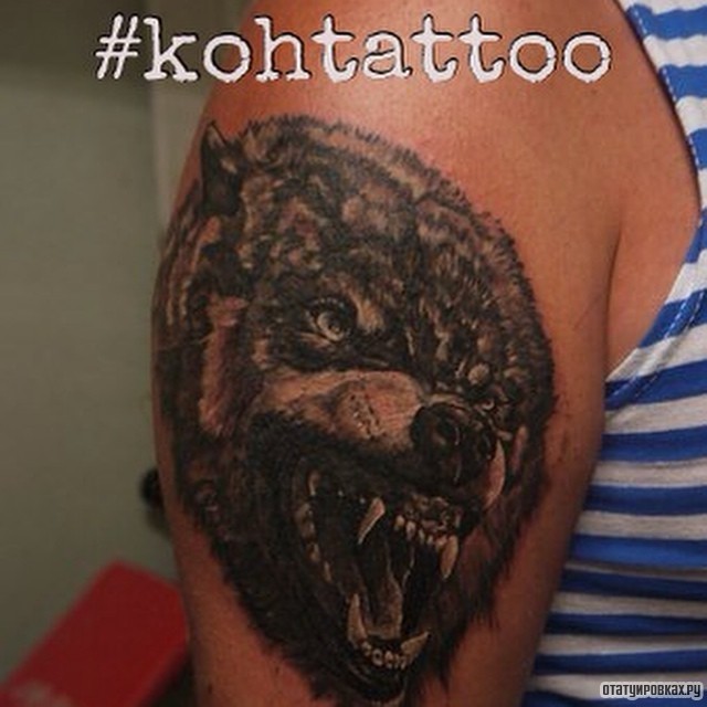 Фотография татуировки под названием «Оскал волка»