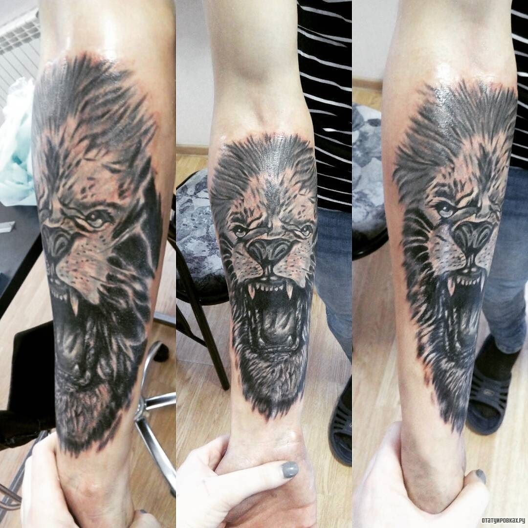Фотография татуировки под названием «Оскал большого льва»