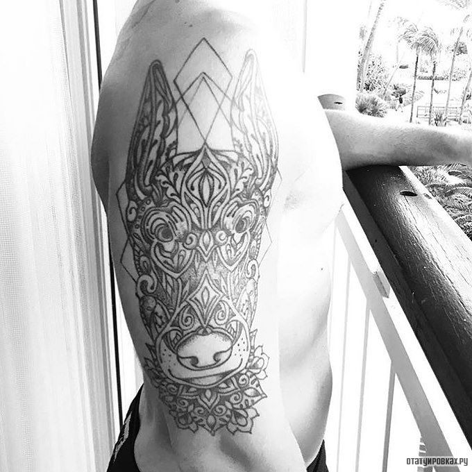 Фотография татуировки под названием «Доберман - узор»